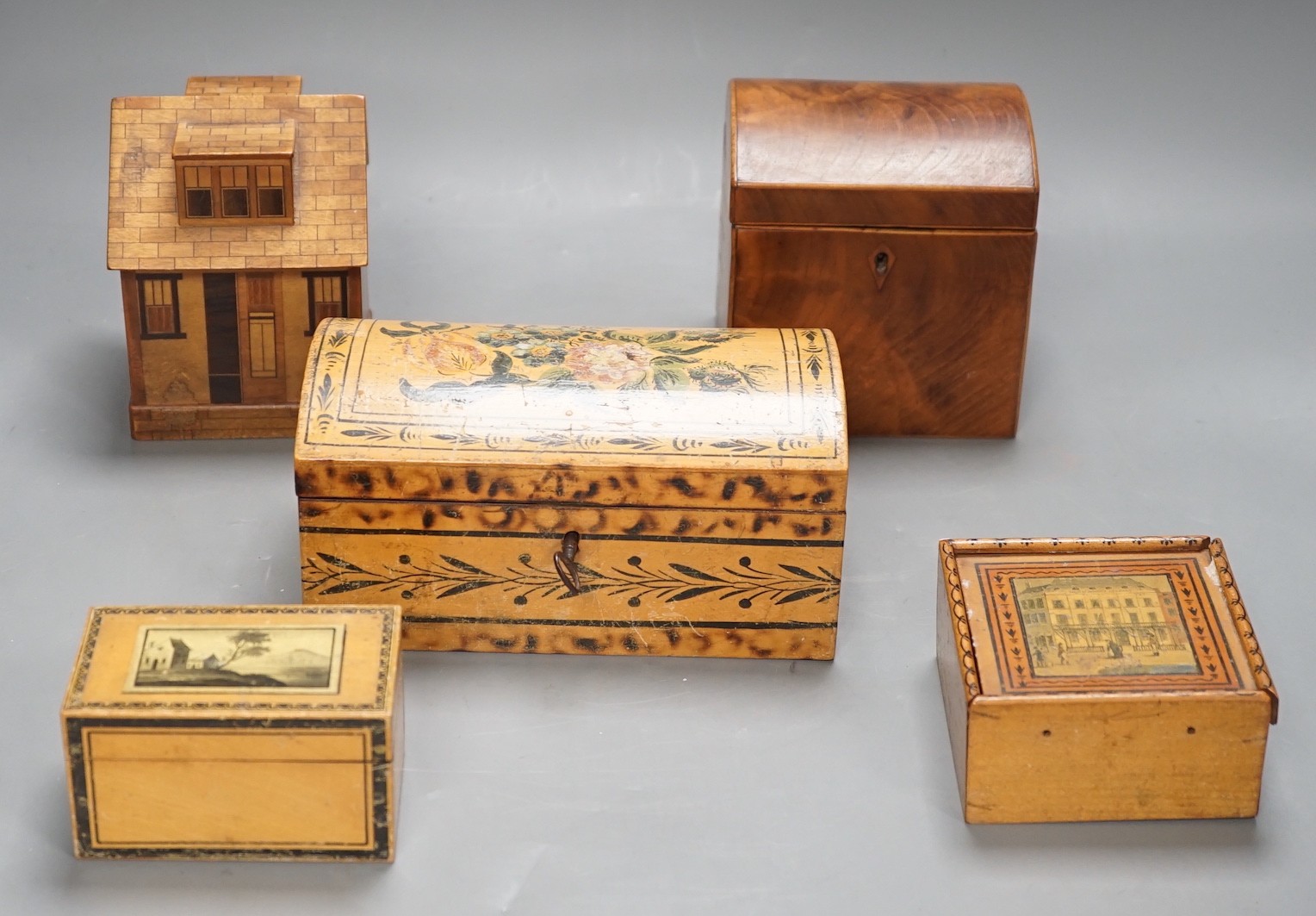 A selection of treen boxes, to include a house shaped money box, 13cm high, a 19th century ash? dome top tea caddy, with ivory finial to the cover (5)